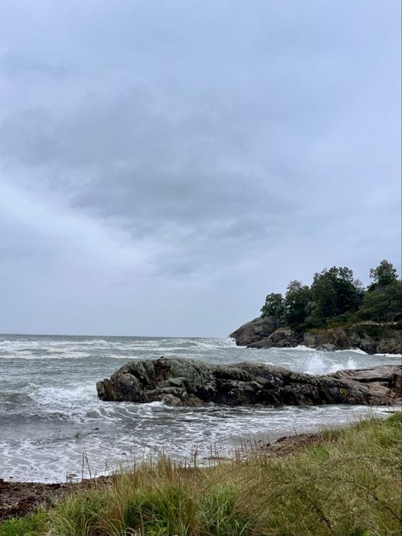 Nor’easter 10miler